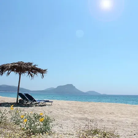 Hotel Despotiko Apt. &