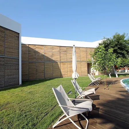 Despotiko Apt. & Τορώνη